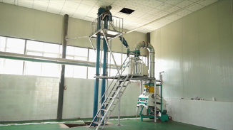 四川德昌核桃，菜籽，茶籽綜合加工生產線